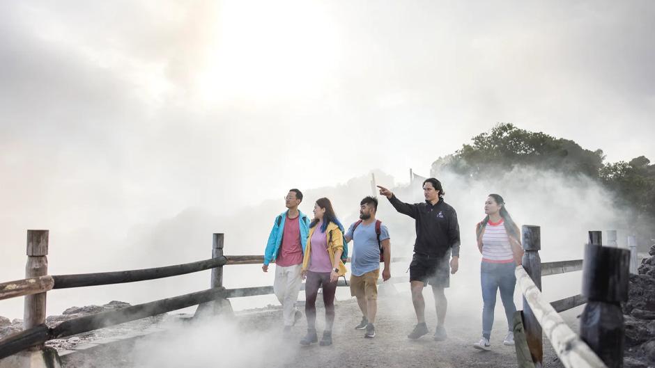 Rotorua Bay Scenic Tour Deals